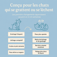 Conçu pour les chats qui se grattent ou se lèchent : grattage, léchage, croûtes et peau sèche apaisés en 4 à 6 semaines