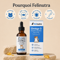 Pourquoi Felinutra : formule pour chat, EPA et DHA marins, soutien de la barrière cutanée, facile à doser