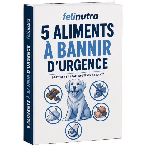 5 Aliments à Bannir d'Urgence