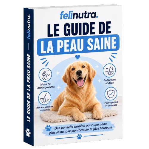 Le Guide De La Peau Saine