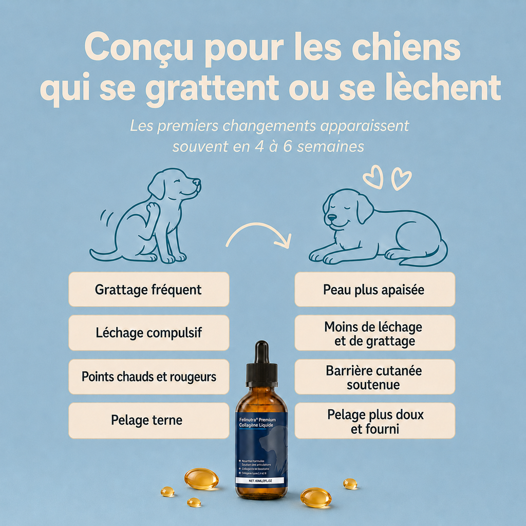 Felinutra Premium Collagène Liquide