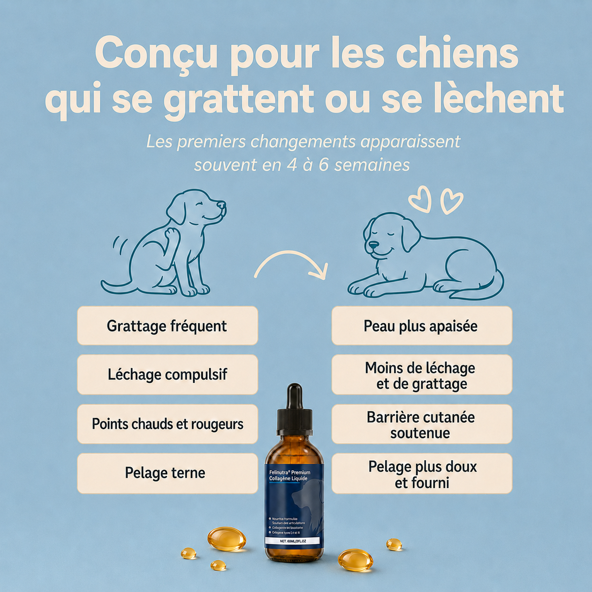 Felinutra Premium Collagène Liquide