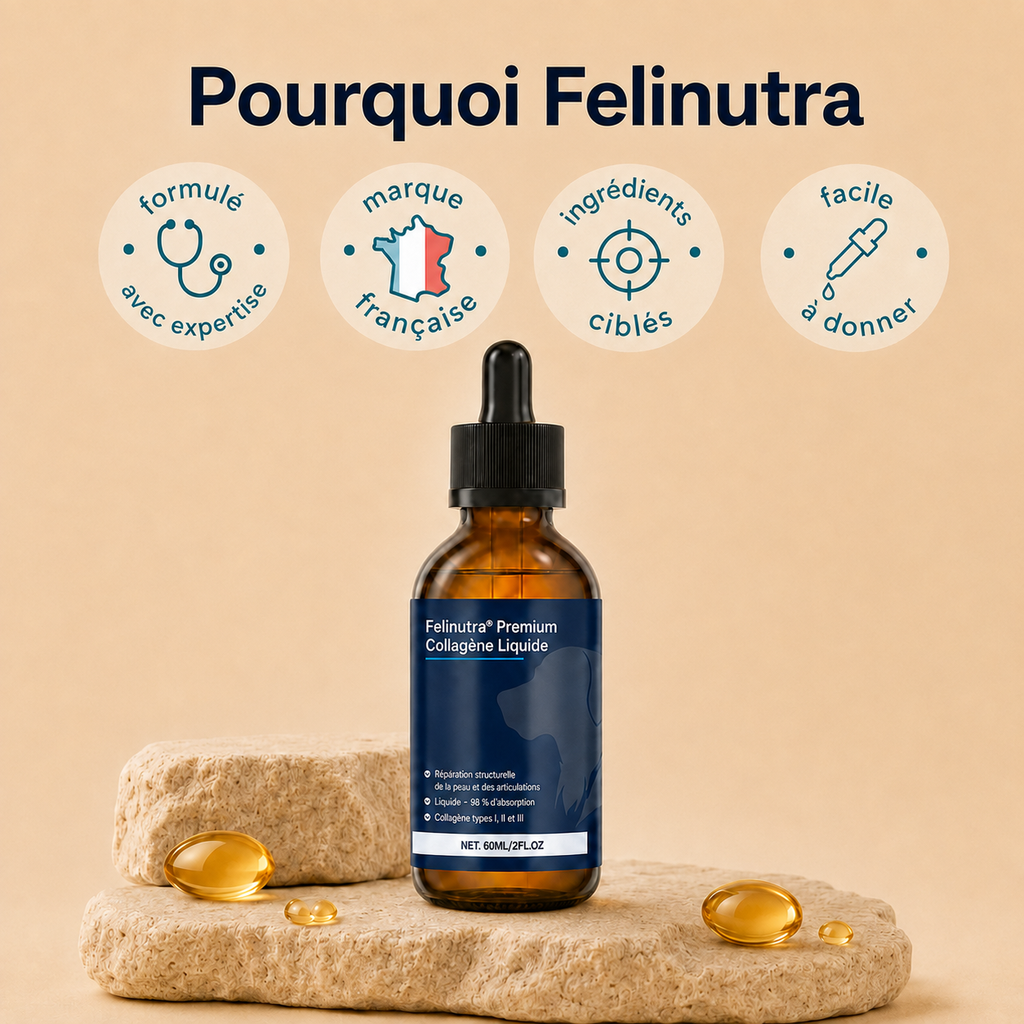 Felinutra Premium Collagène Liquide