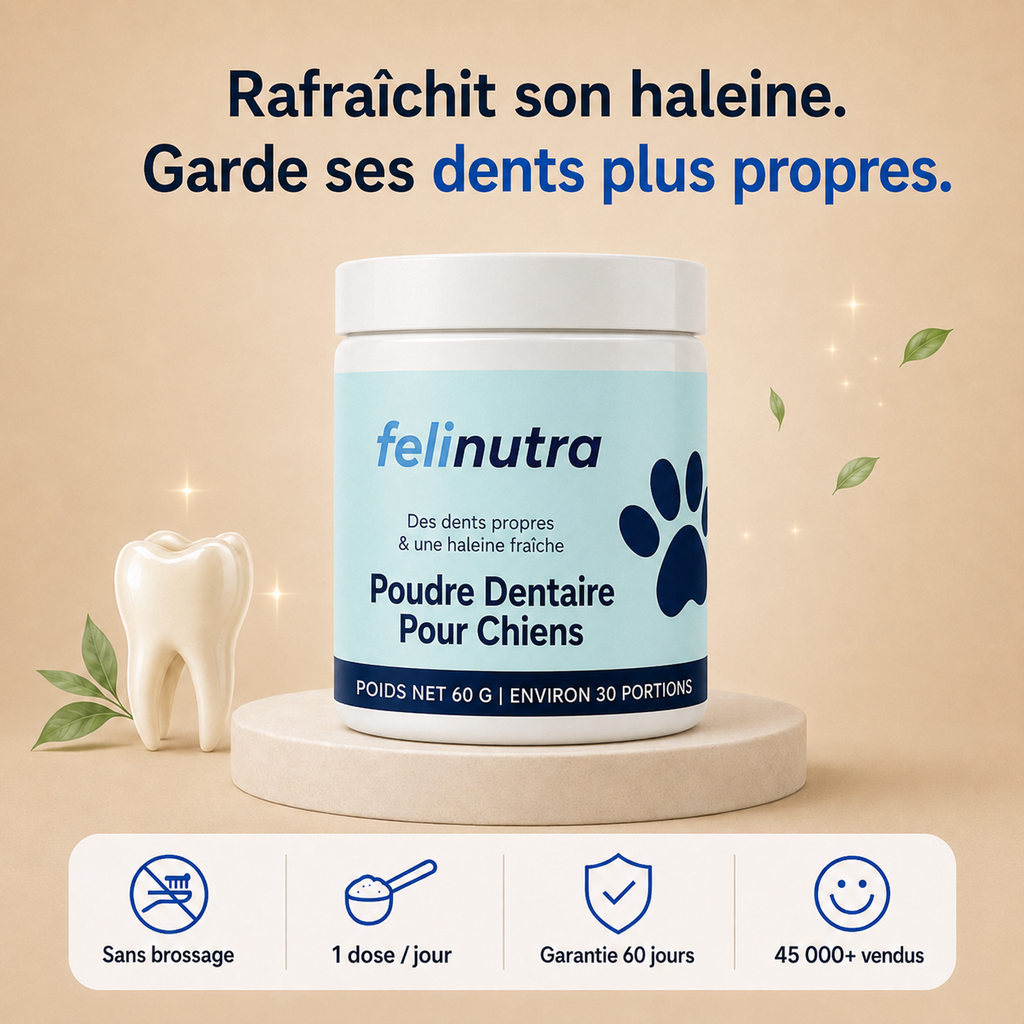 Poudre Dentaire Anti-Tartre et Haleine Fraîche 225 g