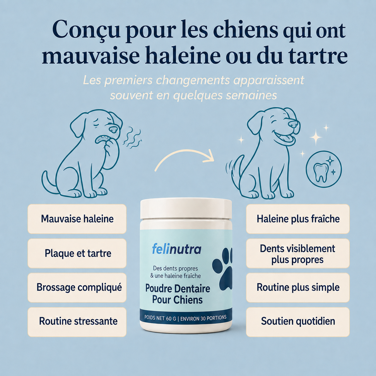 Poudre Dentaire Anti-Tartre et Haleine Fraîche 225 g