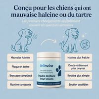 Poudre Dentaire Anti-Tartre et Haleine Fraîche 225 g