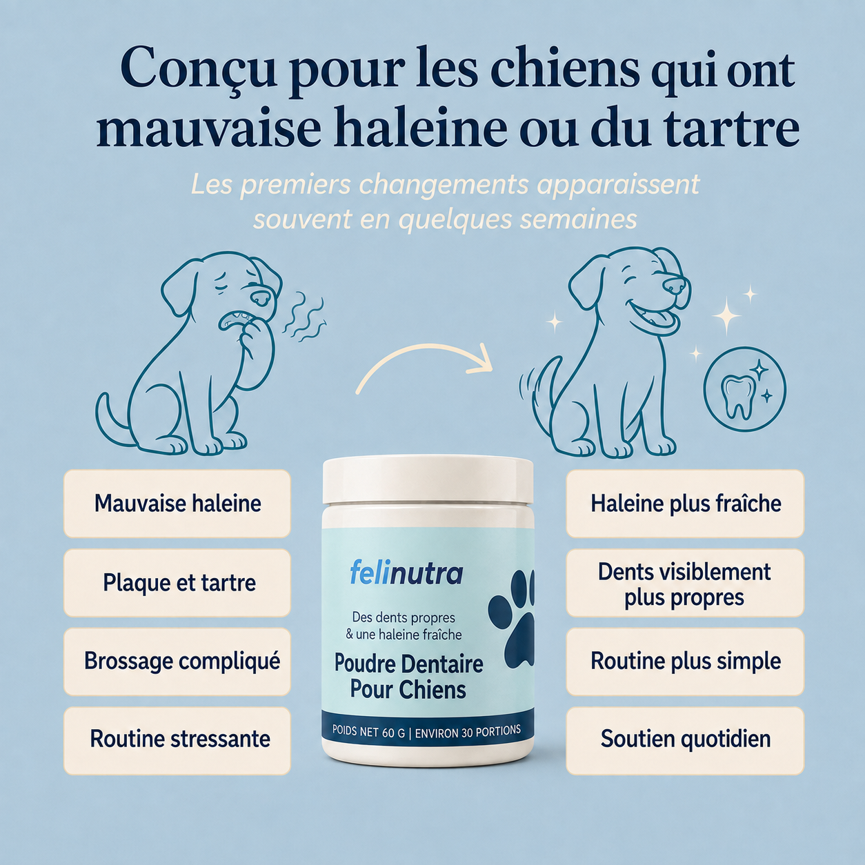 Poudre Dentaire Anti-Tartre et Haleine Fraîche 225 g