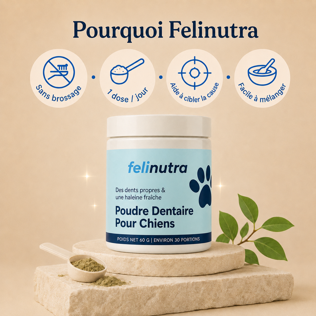 Poudre Dentaire Anti-Tartre et Haleine Fraîche 225 g