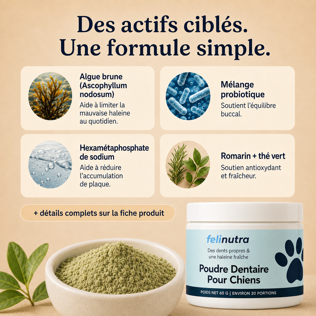 Poudre Dentaire Anti-Tartre et Haleine Fraîche 225 g