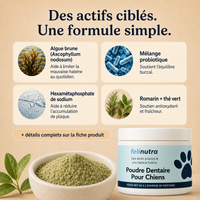 Poudre Dentaire Anti-Tartre et Haleine Fraîche 225 g