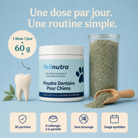 Poudre Dentaire Anti-Tartre et Haleine Fraîche 225 g