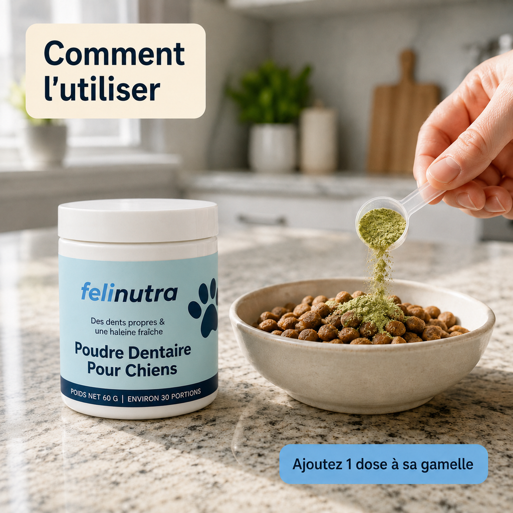 Poudre Dentaire Anti-Tartre et Haleine Fraîche 225 g